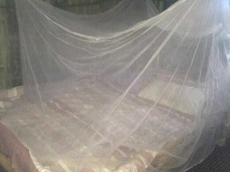 پانسیون Natural Bamboo Village