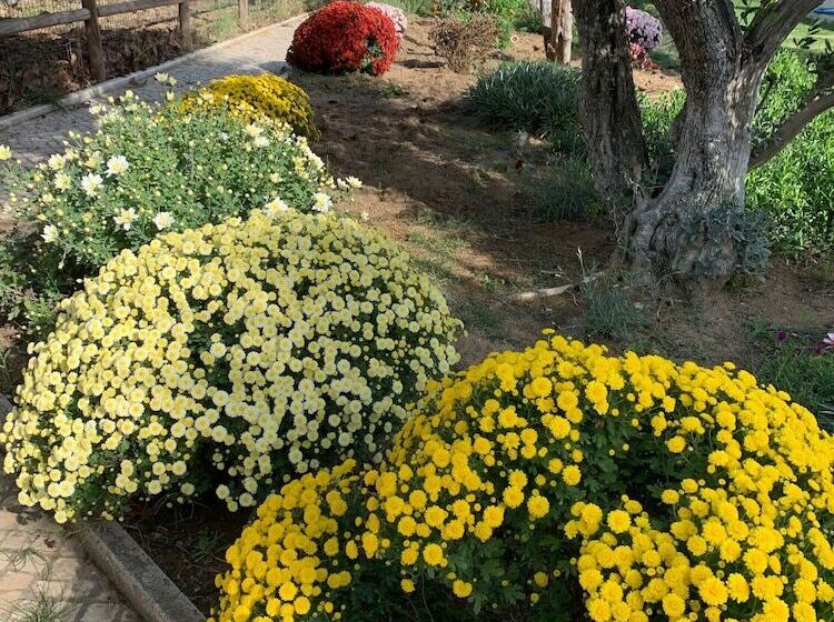 펜션 Quinta Ribeira Do Labrador   Lisbon West Wine Route