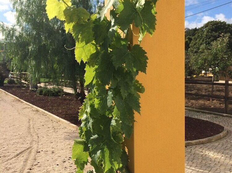 ペンション Quinta Ribeira Do Labrador   Lisbon West Wine Route