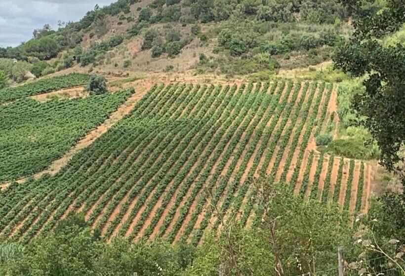 펜션 Quinta Ribeira Do Labrador   Lisbon West Wine Route