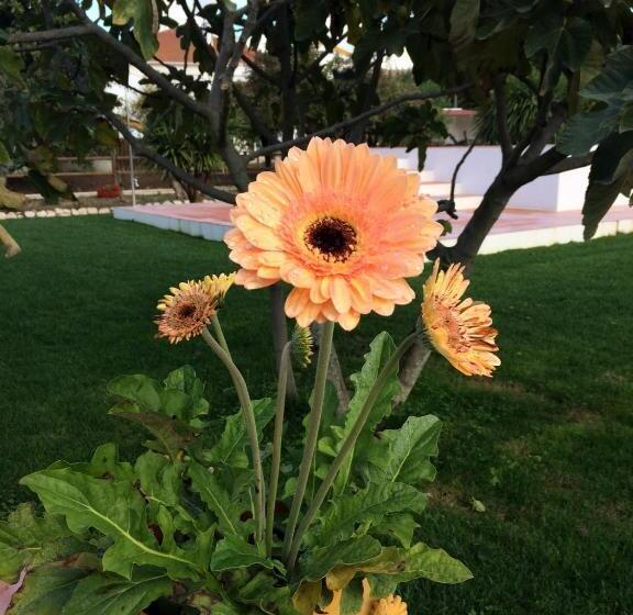 펜션 Quinta Ribeira Do Labrador   Lisbon West Wine Route