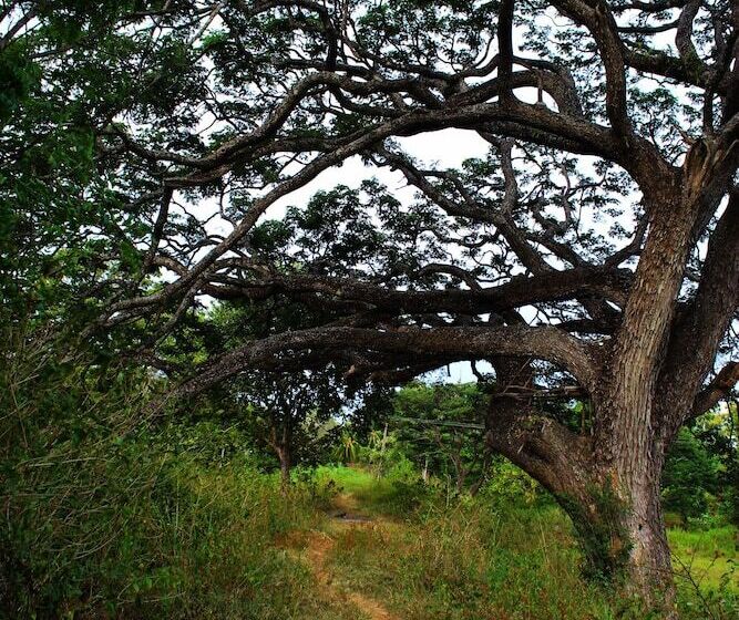 펜션 Sigiriya Lahiru Homestay