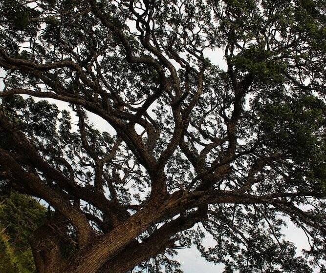 펜션 Sigiriya Lahiru Homestay