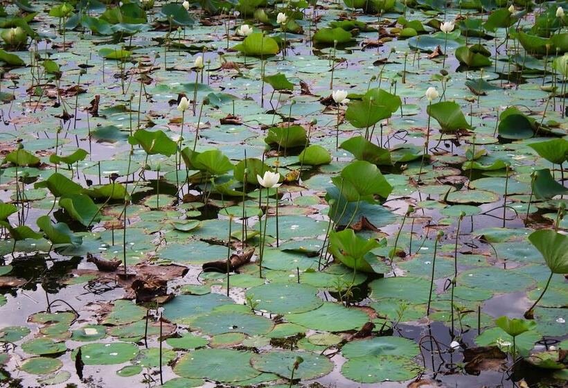 펜션 Sigiriya Lahiru Homestay