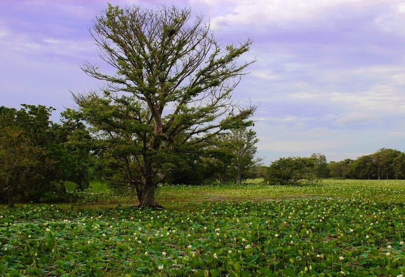 펜션 Sigiriya Lahiru Homestay