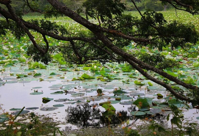 펜션 Sigiriya Lahiru Homestay