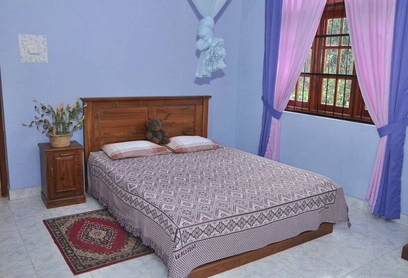 펜션 Springhill Homestay