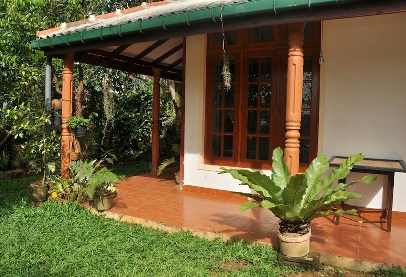 펜션 Springhill Homestay