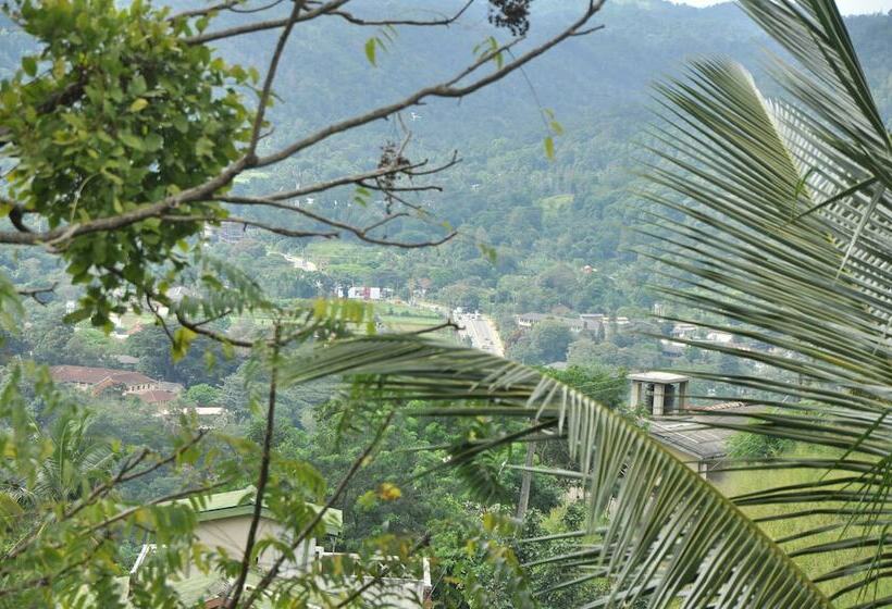 펜션 Springhill Homestay