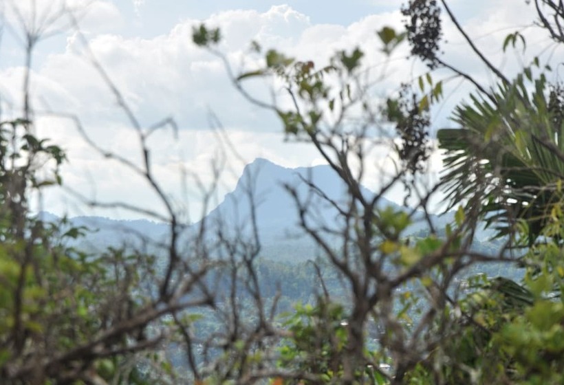 펜션 Springhill Homestay