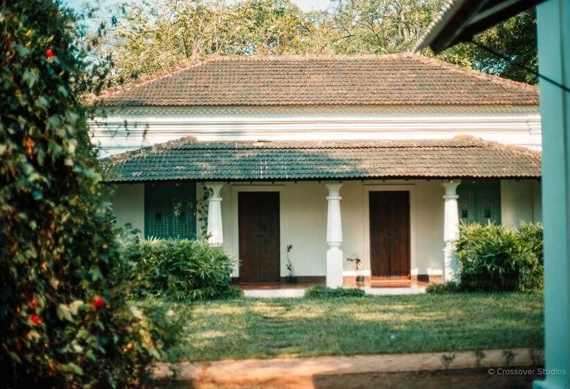 The Project Cafe Goa