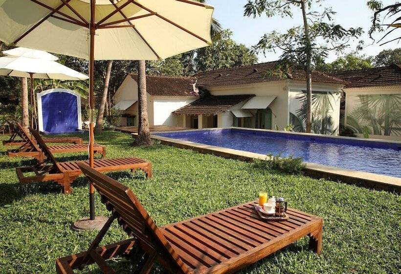 The Project Cafe Goa