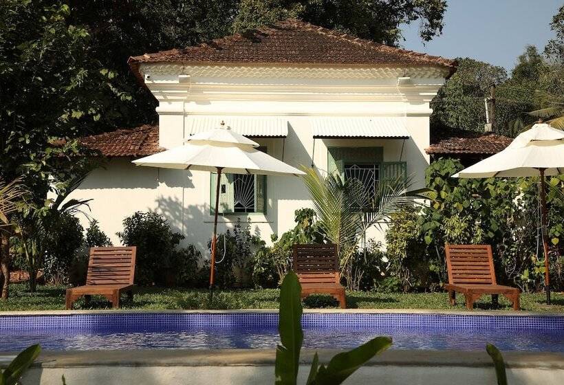 The Project Cafe Goa