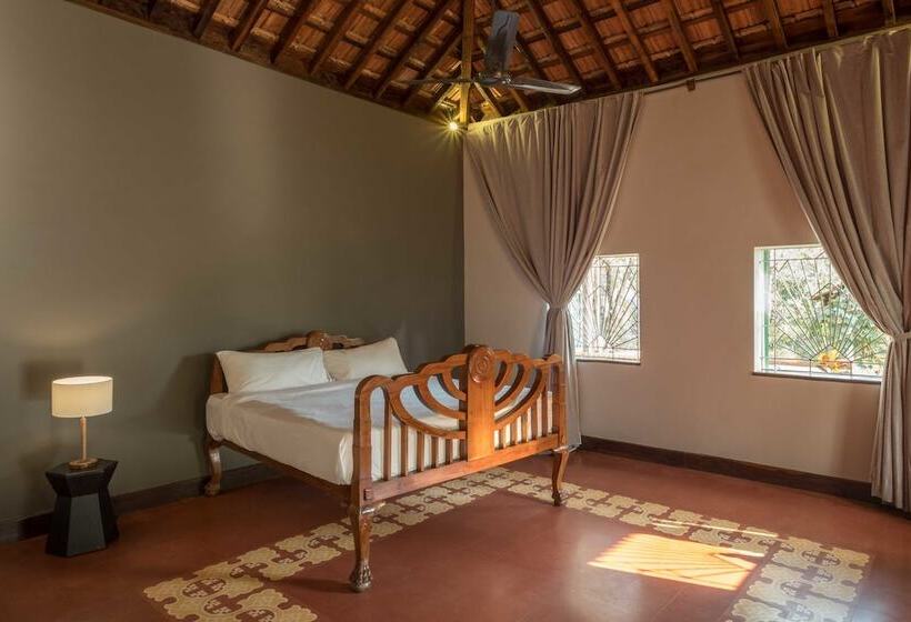 The Project Cafe Goa