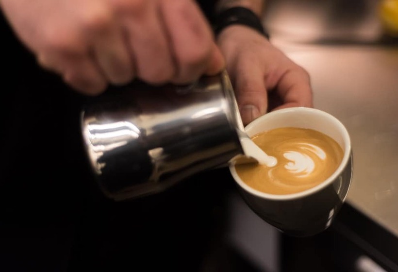 Urban Nest   Suites & Apartments