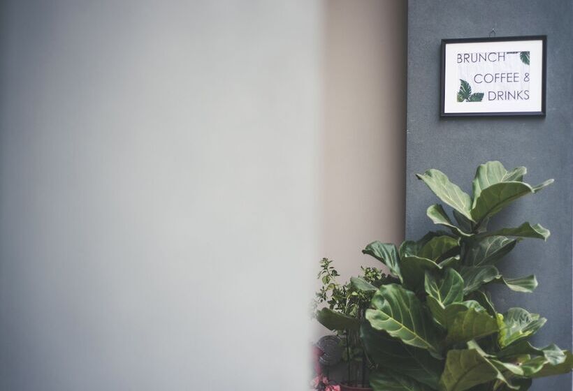 Urban Nest   Suites & Apartments