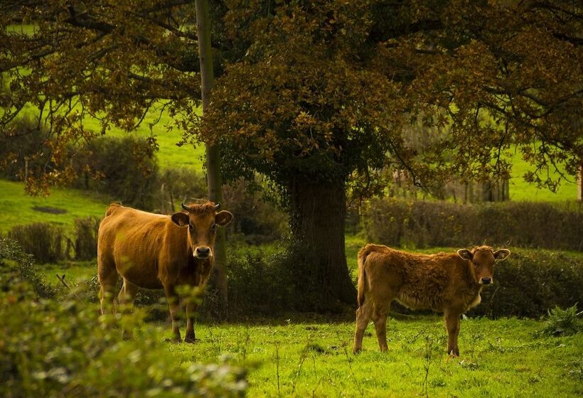 Casa Rural Peña Careses