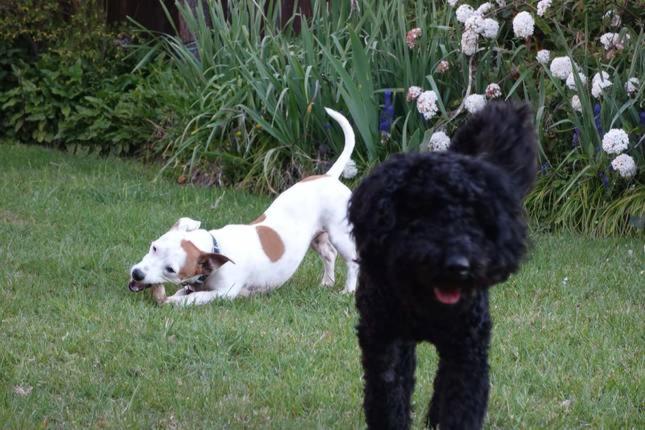 Mister Brightside  Great Location