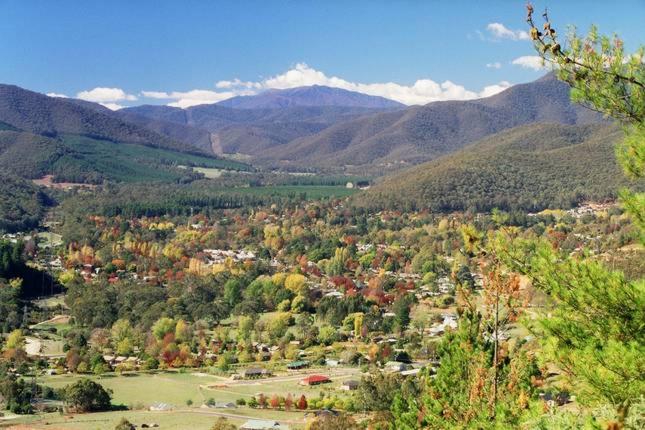 Mister Brightside  Great Location