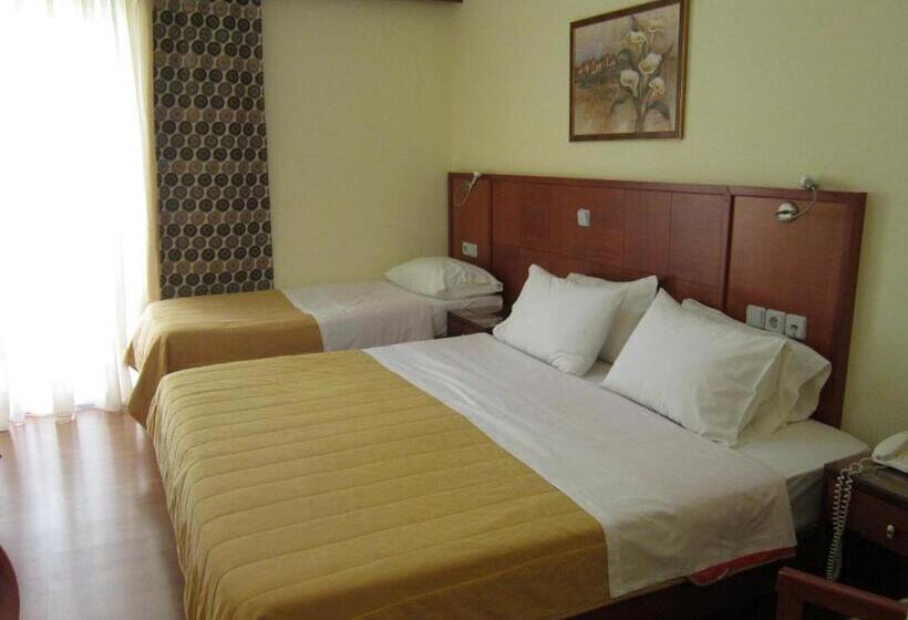 בית מלון כפרי Ena