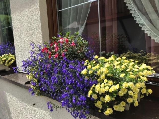 בית מלון כפרי Garni Senn