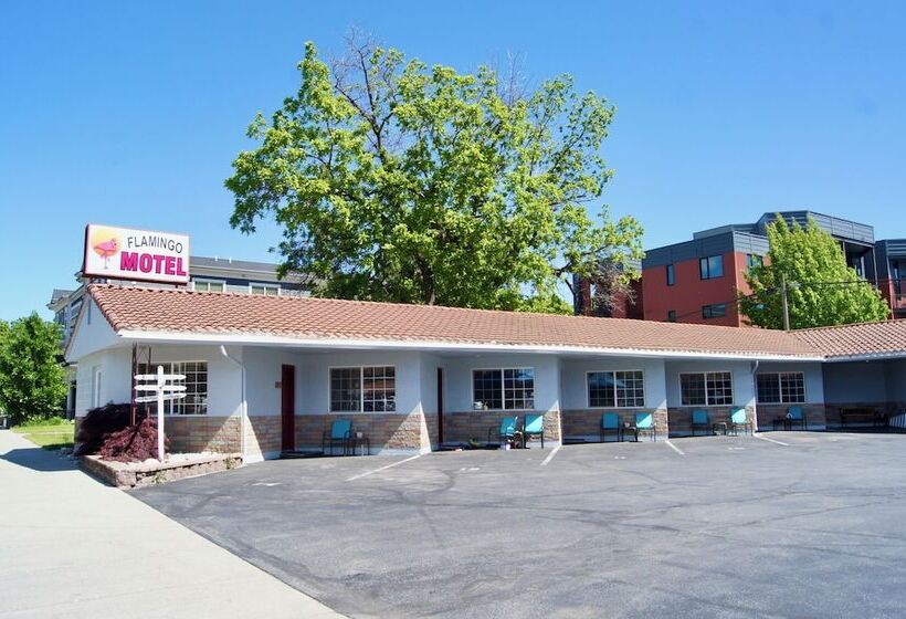 Flamingo Motel