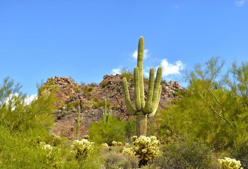 Gold Canyon Golf Resort