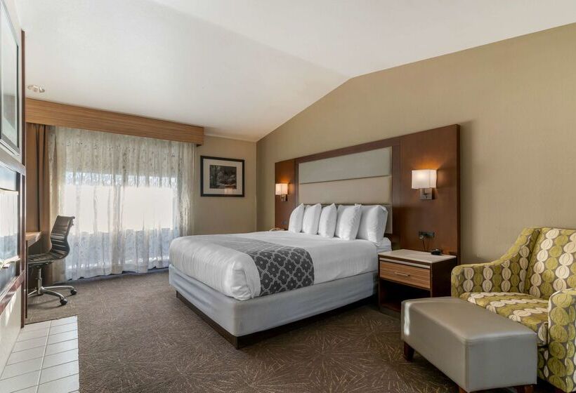Отель Best Western Plus Forest Park Inn
