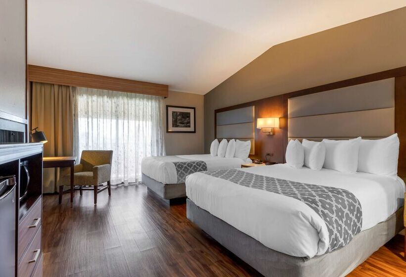 Отель Best Western Plus Forest Park Inn