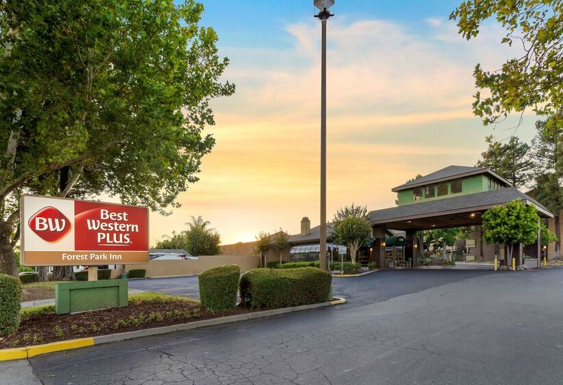 Отель Best Western Plus Forest Park Inn