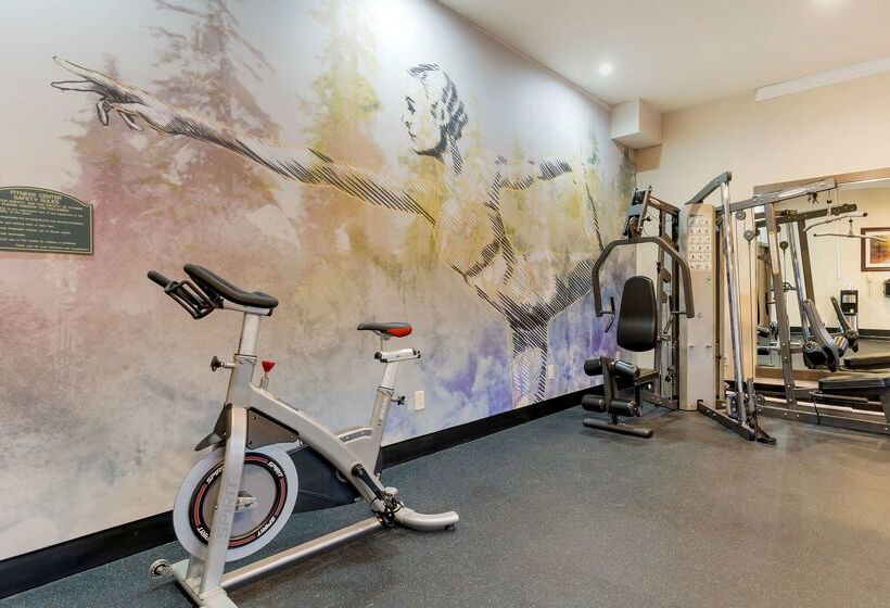 Отель Best Western Plus Forest Park Inn