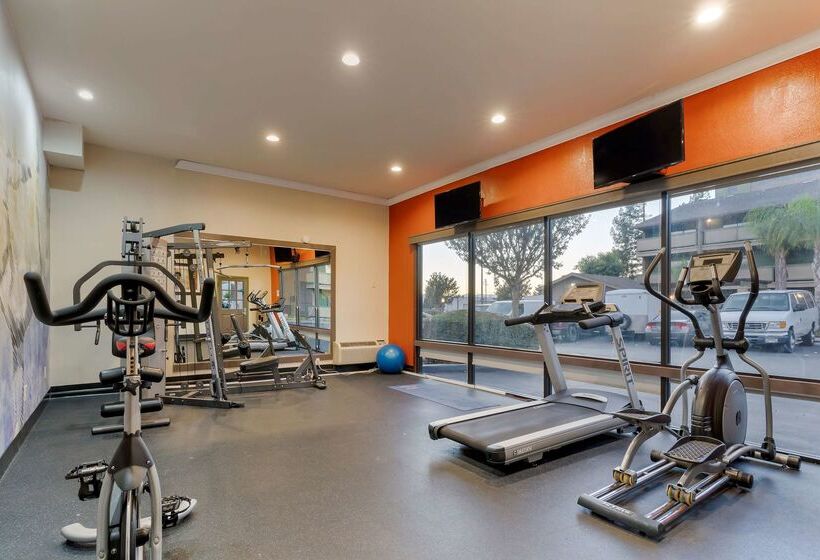 Отель Best Western Plus Forest Park Inn