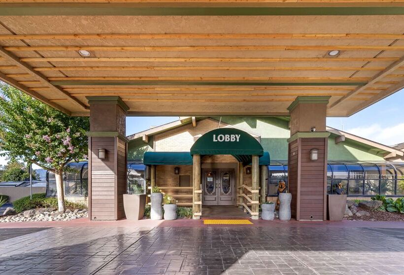 Отель Best Western Plus Forest Park Inn