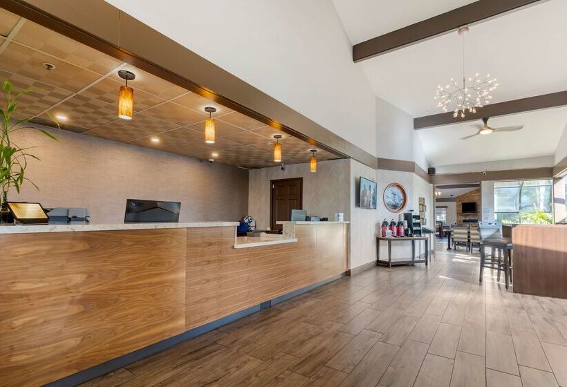 Отель Best Western Plus Forest Park Inn