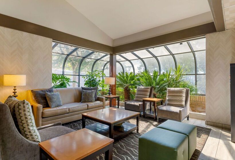 Отель Best Western Plus Forest Park Inn