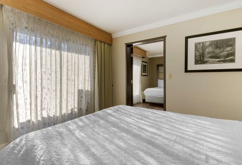 Отель Best Western Plus Forest Park Inn