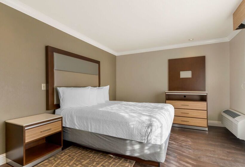 Отель Best Western Plus Forest Park Inn