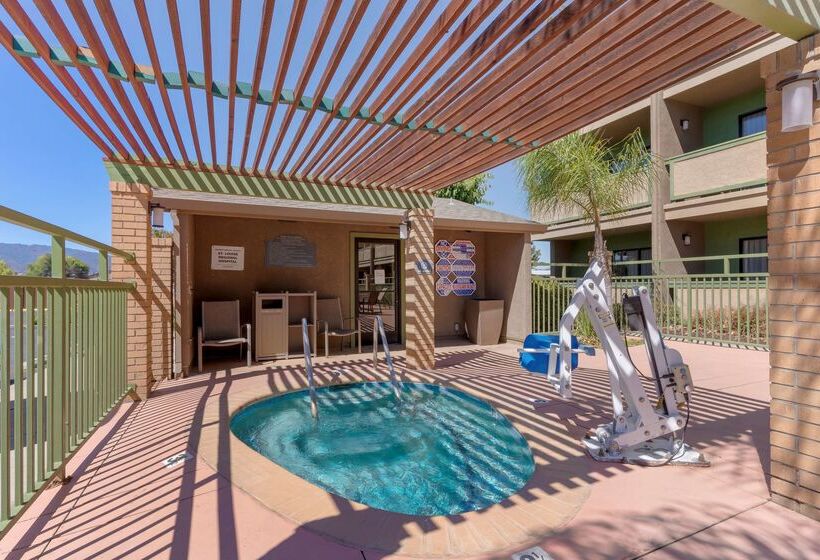 Отель Best Western Plus Forest Park Inn