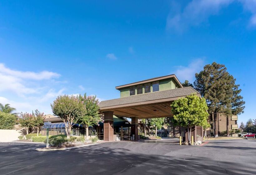 Отель Best Western Plus Forest Park Inn