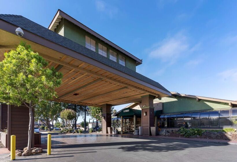 Отель Best Western Plus Forest Park Inn