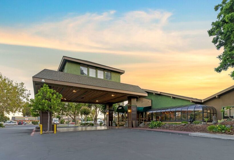 Отель Best Western Plus Forest Park Inn