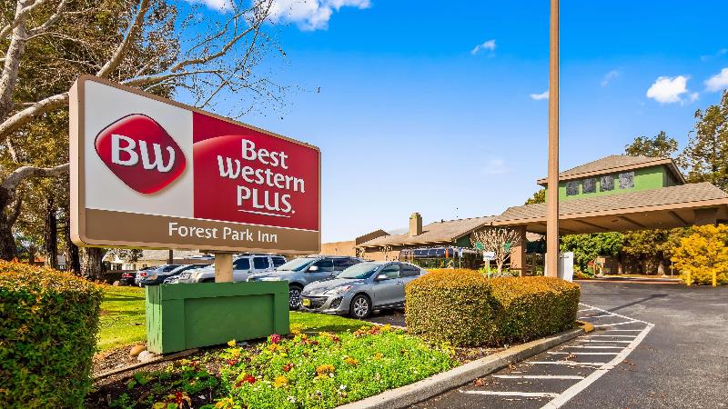 Отель Best Western Plus Forest Park Inn