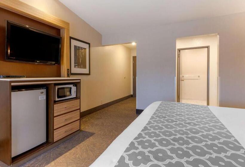 Отель Best Western Plus Forest Park Inn