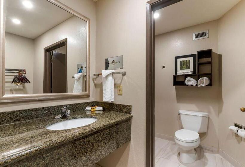 Отель Best Western Plus Forest Park Inn