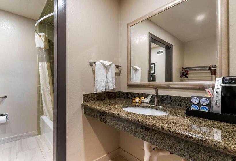 Отель Best Western Plus Forest Park Inn