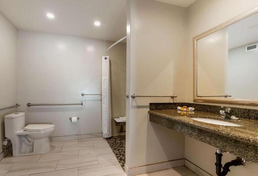 Отель Best Western Plus Forest Park Inn