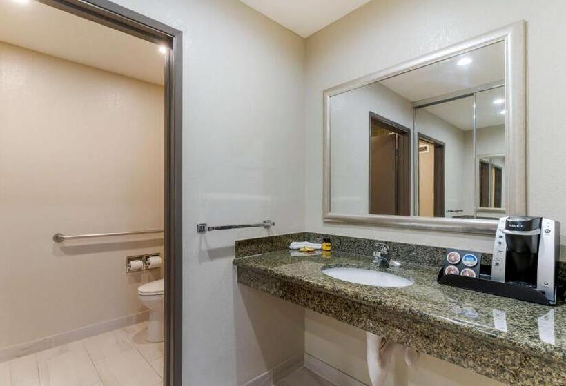 Отель Best Western Plus Forest Park Inn