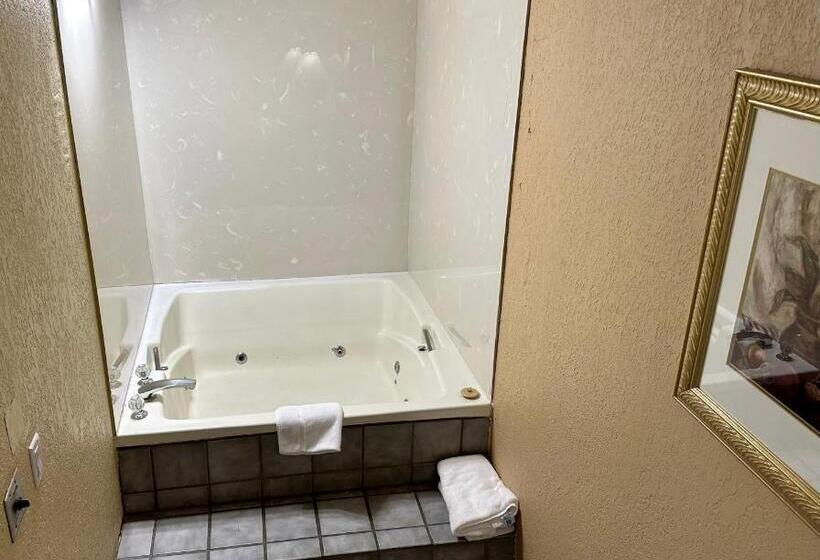 هتل Clarion Inn & Suites Near The Leconte Center Pigeon Forge