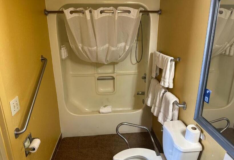 هتل Clarion Inn & Suites Near The Leconte Center Pigeon Forge