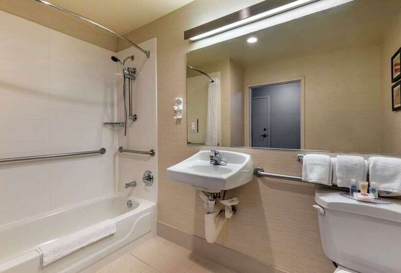 فندق Comfort Inn & Suites North Dallasaddison